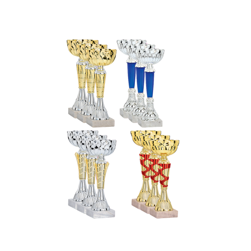 Lot de 12 coupes : 2024-1 Lot de 12 coupes : 2024-1