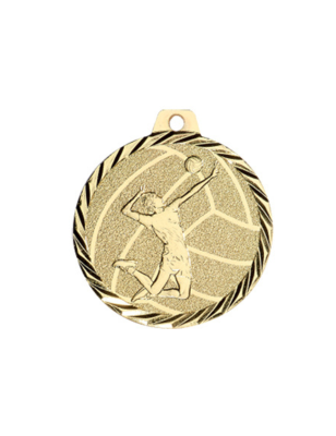 Médaille Volleyball - NZ24D