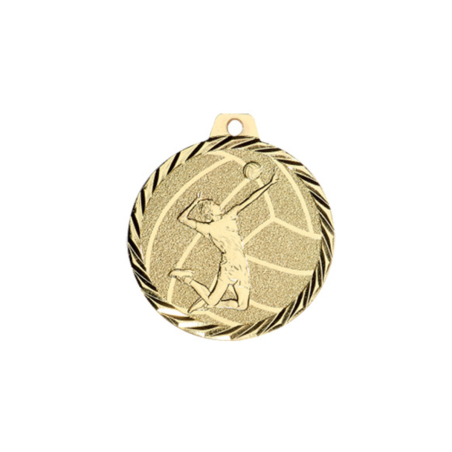 Médaille Volleyball - NZ24D