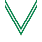Ruban Vert / Blanc / Vert - 6052