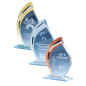 Trophée en Verre : 170-01 Trophée en Verre : 170-01