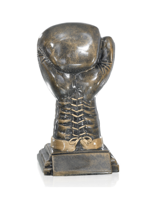 Trophée Boxe - 52536