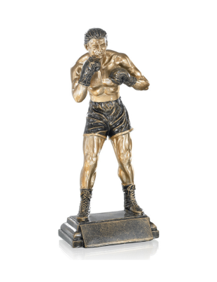 Trophée Boxe - 52535