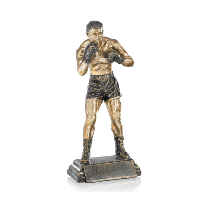 Trophée Boxe - 52535