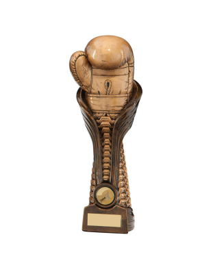 Trophée Gant de Boxe