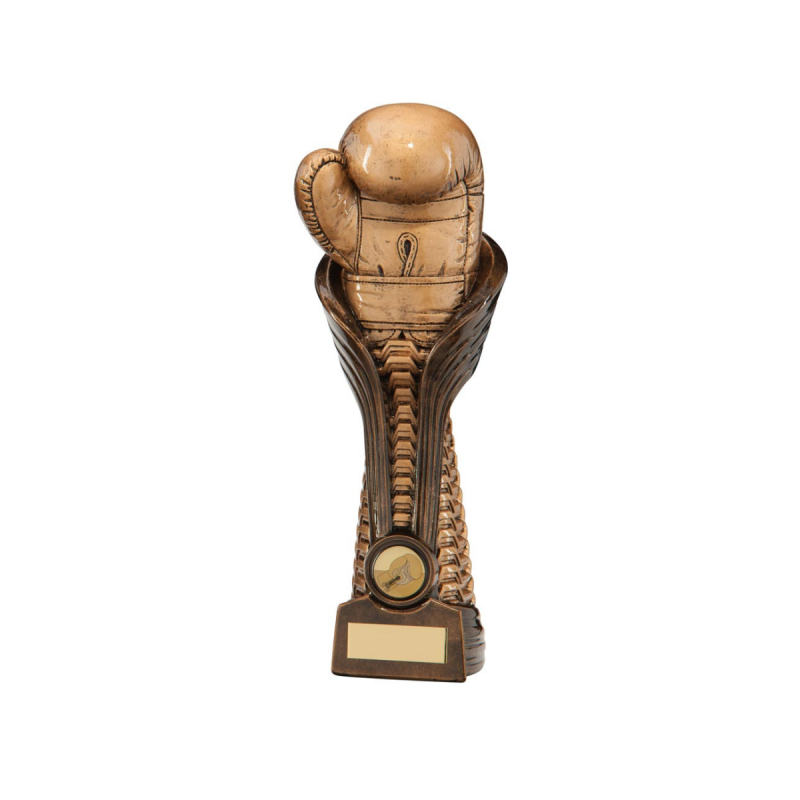 Trophée Gant de Boxe