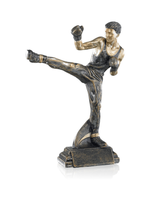 Trophée Boxe - 52558