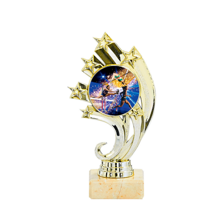 Trophée Personnalisable : 134-11