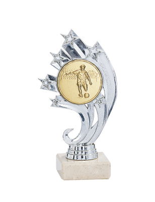 Trophée Personnalisable : 134-12