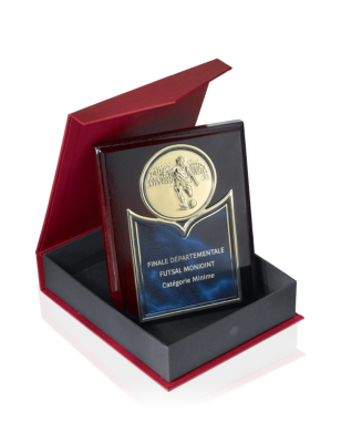 Plaque de Distinction : 186-81