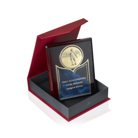 Plaque de Distinction : 186-81