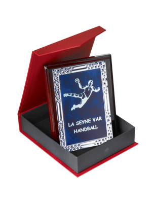 Plaque de Distinction : 186-91
