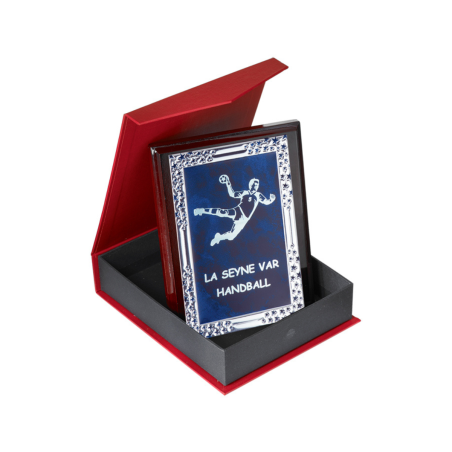 Plaque de Distinction : 186-91
