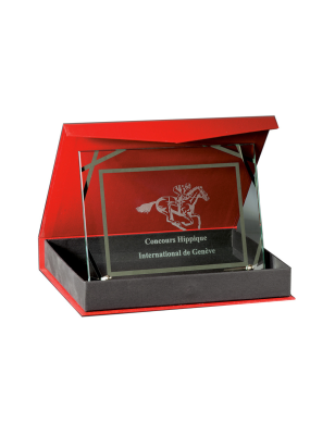 Plaque de Distinction : 187-01