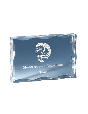 Trophée en Plexiglass : 177-01