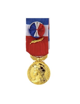 Médaille du Travail - 20 ans