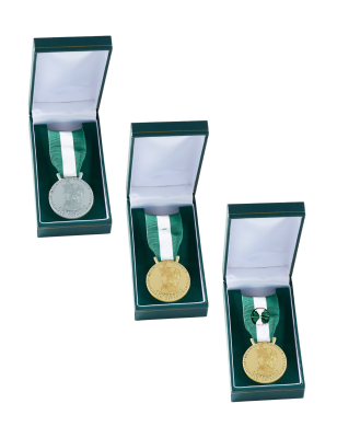 Médaille Collectivité