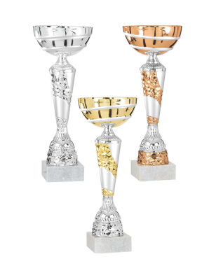 Lot de 3 Coupes Podium : 1660