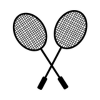  Badminton 